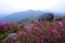 추천갤러리 - 초암산