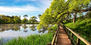 추천갤러리 - 대정제