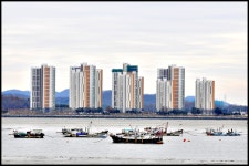 추천갤러리 - 어선(魚船)