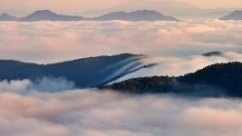 추천갤러리 - 대룡산에서 보는 운해폭포