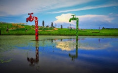 추천갤러리 - 자유의공원