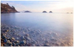 추천갤러리 - 무슬목 아침