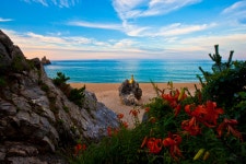 추천갤러리 - 추암 나리꽃