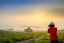 추천갤러리 - 안성목장의 아침