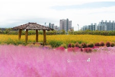 추천갤러리 - 계양꽃마루