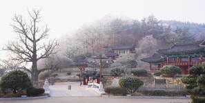 추천갤러리 - 임고서원