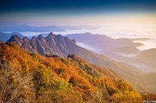 추천갤러리 - 구봉산