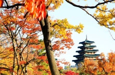 추천갤러리 - 경복궁 민속방물관