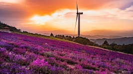 추천갤러리 - 감악산