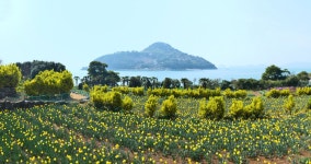 추천갤러리 - 공곶이