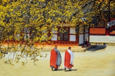 추천갤러리 - 봄 나드리