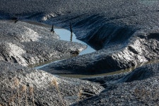 추천갤러리 - 갯골...............