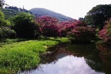 추천갤러리 - 명옥헌