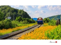 추천갤러리 - 아천역