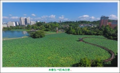 추천갤러리 - 덕진공원 연지