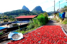 추천갤러리 - 마이산