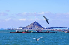 추천갤러리 - 어선(魚船)