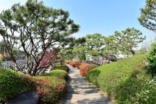 추천갤러리 - 서일농장...