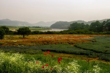 추천갤러리 - 함안 뚝방