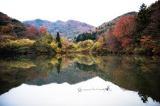 추천갤러리 - 가을속에 세량제