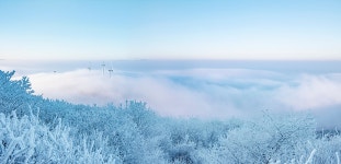 추천갤러리 - 태기산