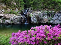 추천갤러리 - 용소폭포