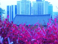 추천갤러리 - 남산