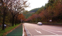 추천갤러리 - 늦가을 가야산로