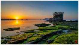 추천갤러리 - 시루섬의 아침_2023