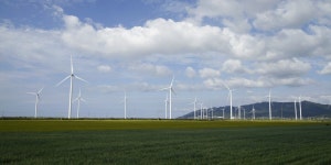 추천갤러리 -  백수 들녁  추천갤러리 - " 백수 들녁 "