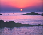 추천갤러리 - 죽성