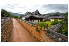 추천갤러리 - 능소화꽃 핀 고택