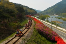 추천갤러리 - 곡성의 봄