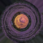 추천갤러리 - 오늘라벤다 농장 아침