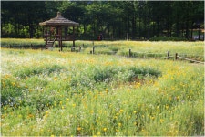 추천갤러리 - 어울마당