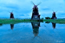 추천갤러리 - 소래생태공원