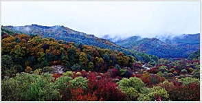 추천갤러리 - 비밀의 정원