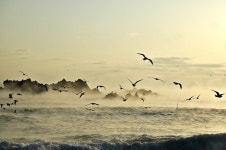 추천갤러리 - 바닷가의 추억