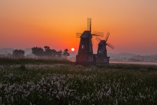 추천갤러리 - 소래습지생태공원