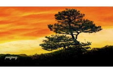 추천갤러리 - 名品松