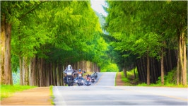 추천갤러리 - 8월의 모래재 메타길에서... (운이 좋았던 하루입니다.)