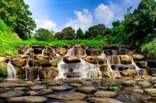 추천갤러리 - 화명 수목원