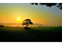 추천갤러리 - 그곳의 일출