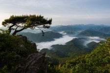 추천갤러리 - 대둔산 형제송