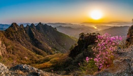 추천갤러리 - 구봉산