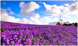 추천갤러리 - 감악산