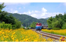 추천갤러리 - 아천역