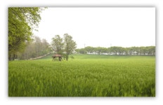 추천갤러리 - 학원농장