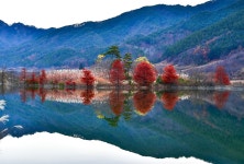 추천갤러리 - 용담호