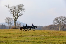 추천갤러리 - 제주 삼다수 목장에서